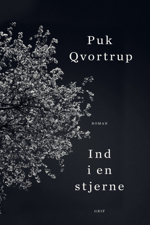 Omslag: Ind i en stjerne