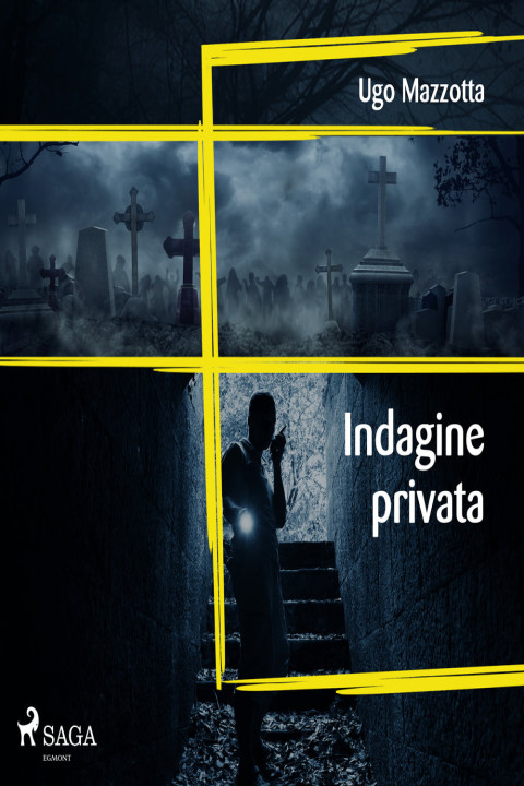 Omslag: Indagine privata