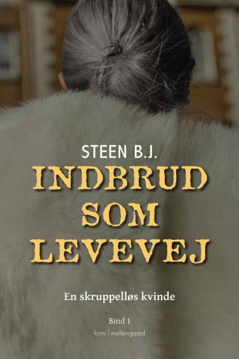 Omslag: Indbrud som levevej