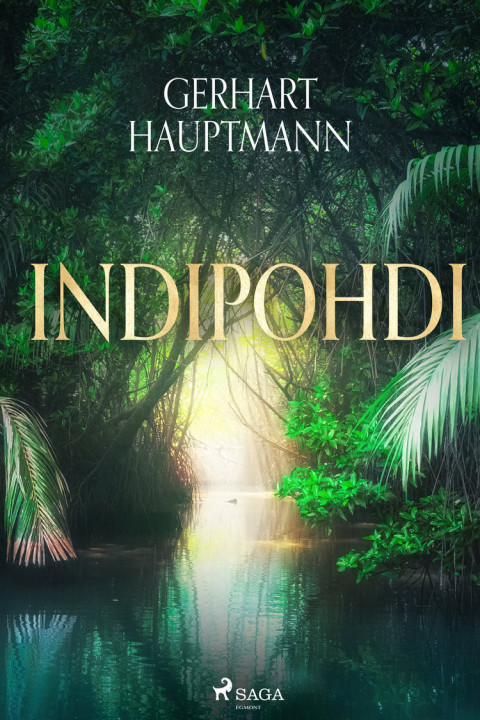 Omslag: Indipohdi