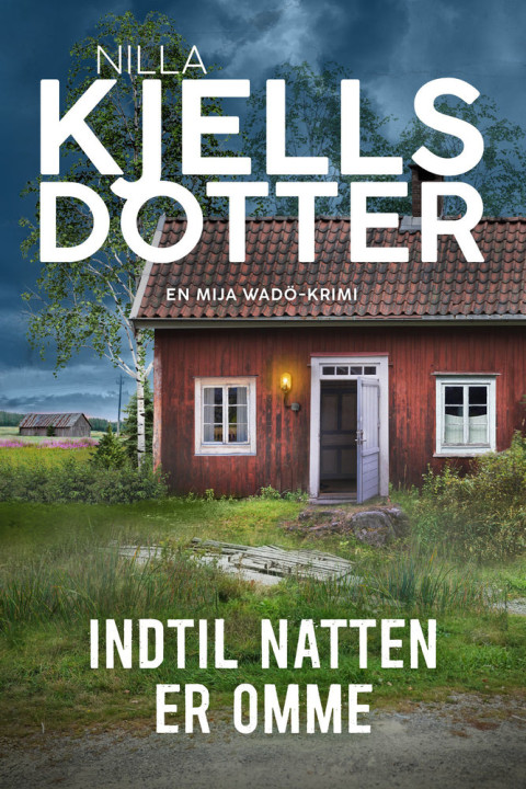 Omslag: Indtil natten er omme