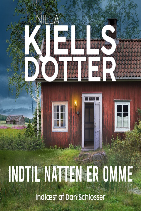 Omslag: Indtil natten er omme