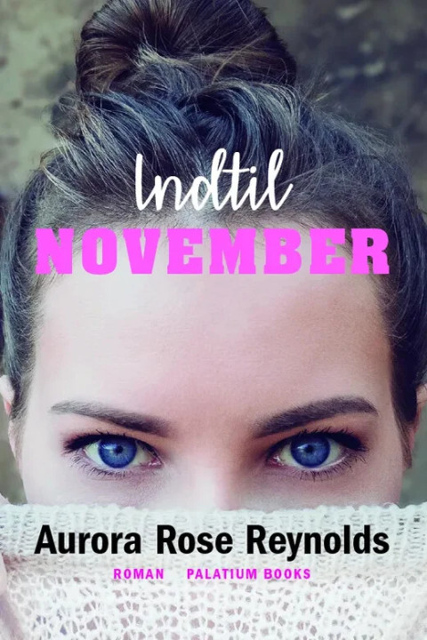 Omslag: Indtil November