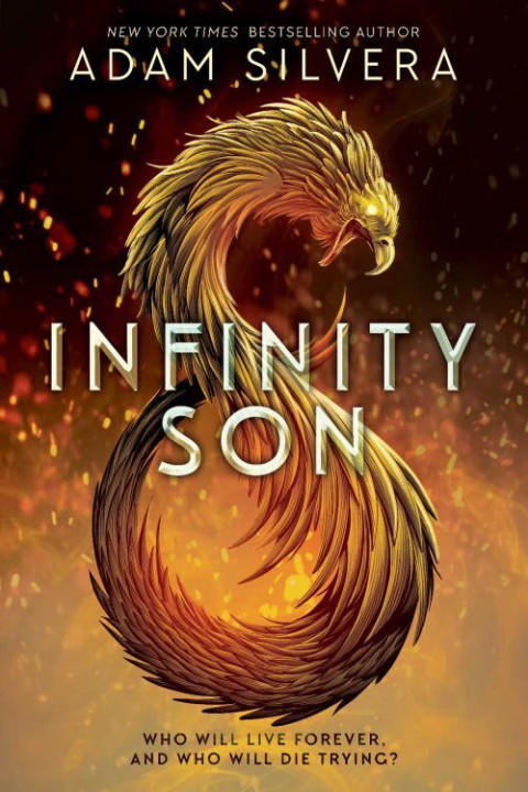 Omslag: Infinity Son