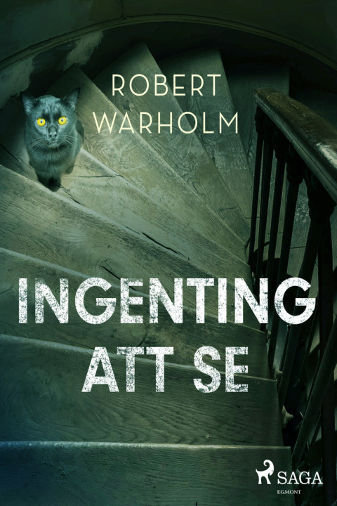Omslag: Ingenting att se