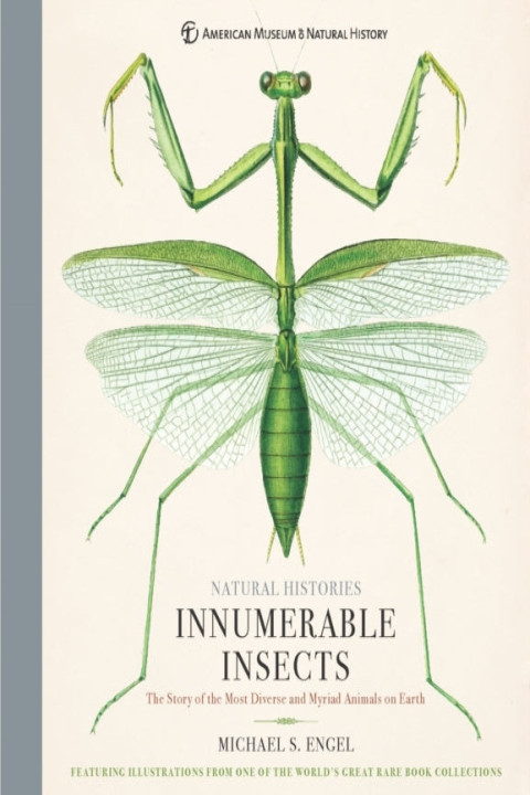 Omslag: Innumerable Insects