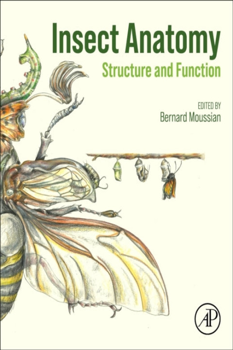 Omslag: Insect Anatomy Structure And Function