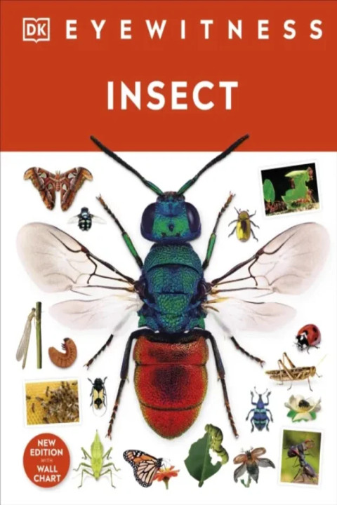 Omslag: Insect