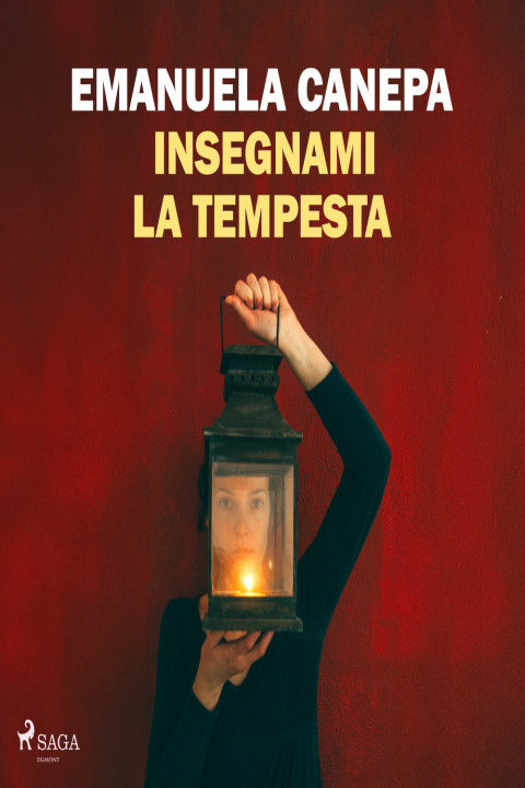 Omslag: Insegnami la tempesta