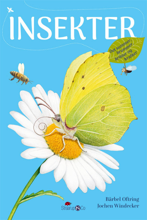 Omslag: Insekter