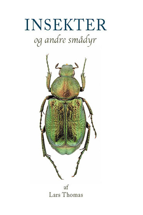 Omslag: Insekter og andre smådyr