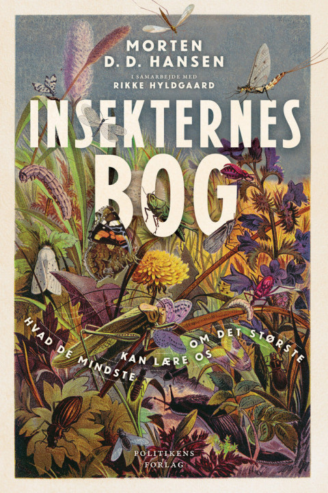 Omslag: Insekternes bog