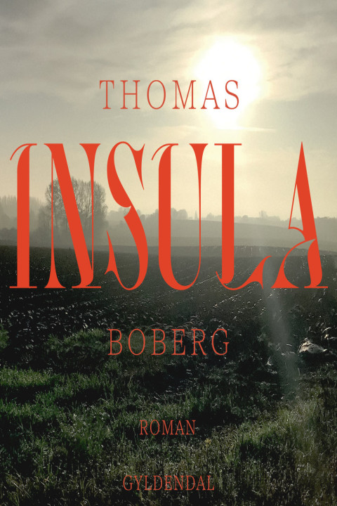 Omslag: Insula