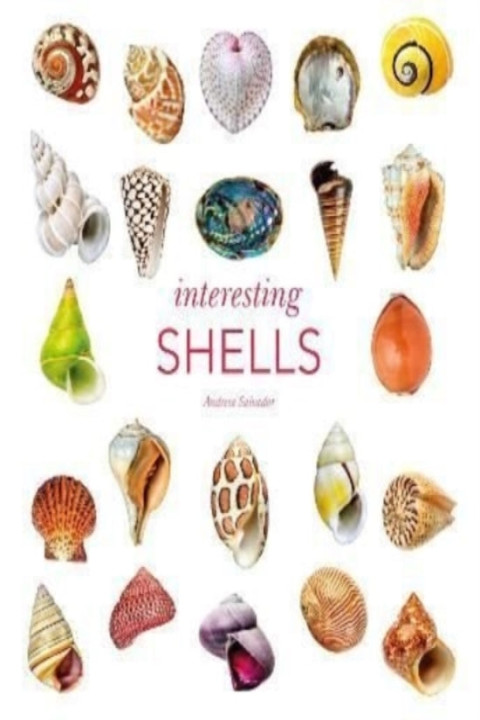 Omslag: Interesting Shells