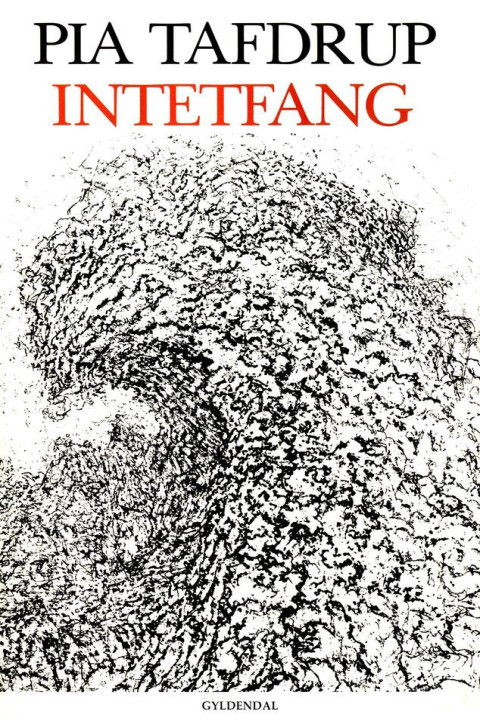 Omslag: Intetfang