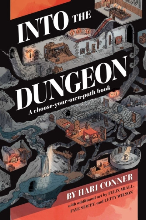Omslag: Into the Dungeon
