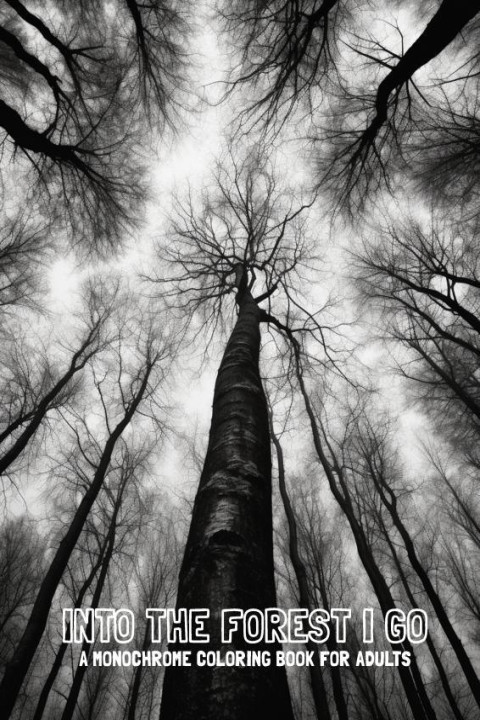 Omslag: Into the Forest I Go