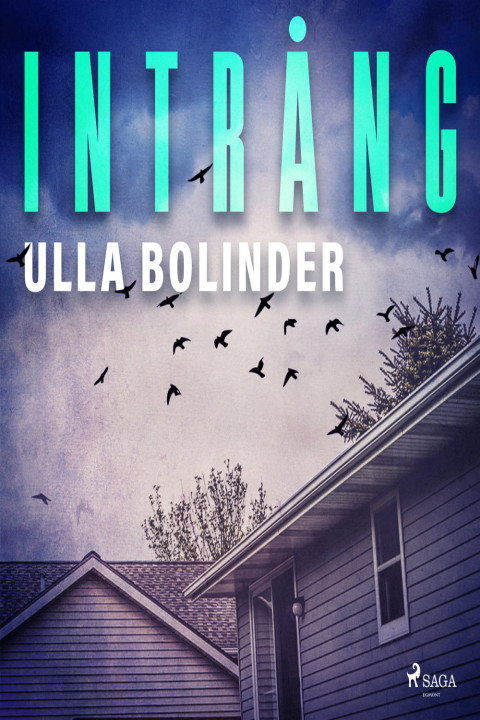 Omslag: Intrång