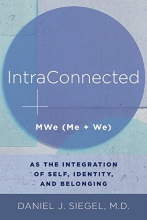 Omslag: IntraConnected