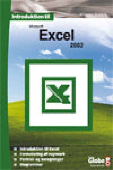 Omslag: Introduktion til Excel 2002