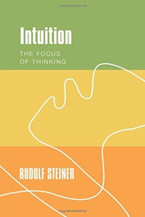 Omslag: Intuition