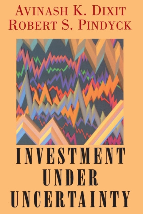 Omslag: Investment Under Uncertainty
