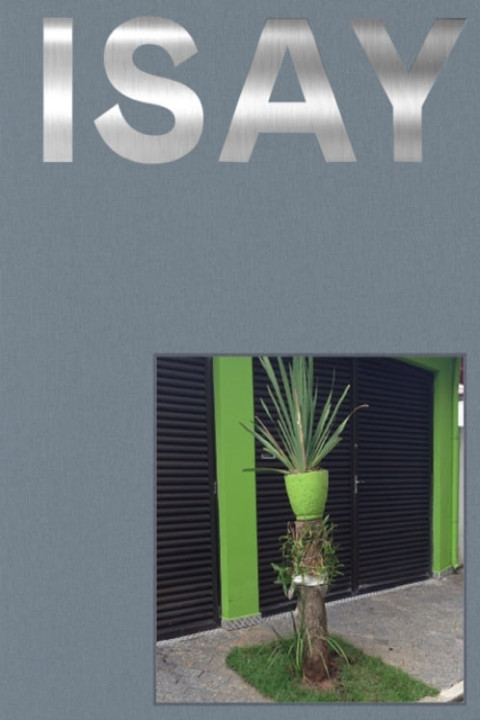 Omslag: Isay Wisay Weinfeld