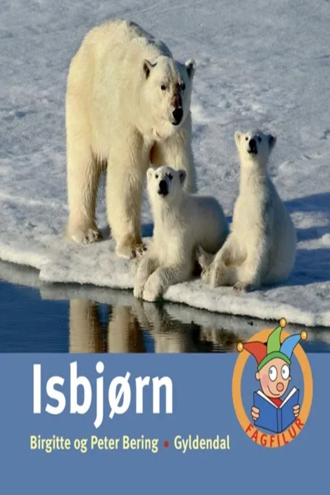Omslag: Isbjørn