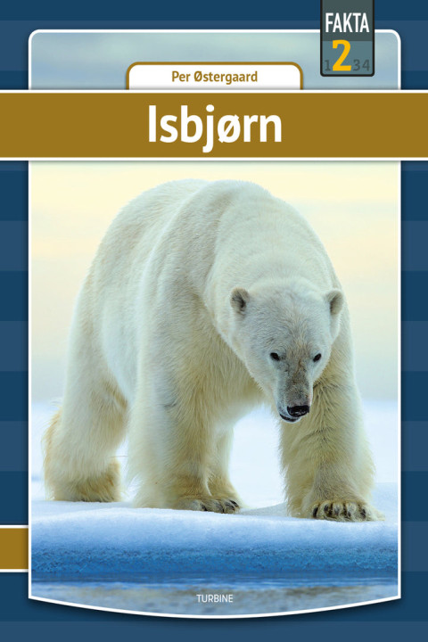 Omslag: Isbjørn