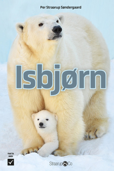 Omslag: Isbjørn