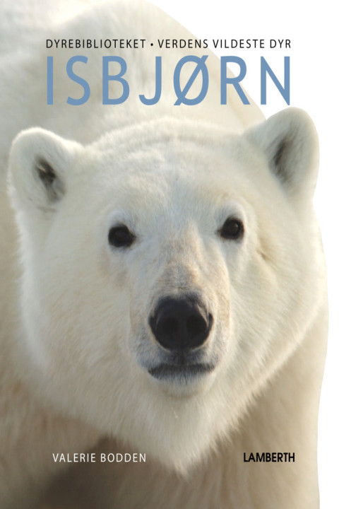 Omslag: Isbjørn