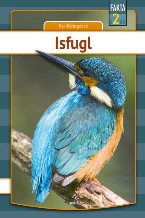 Omslag: Isfugl