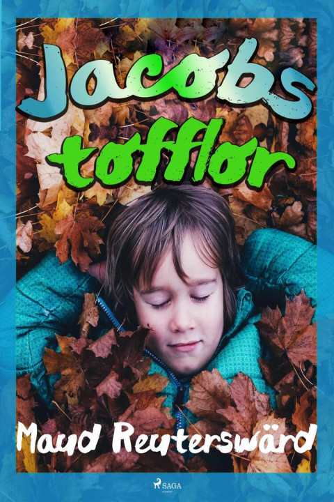 Omslag: Jacobs tofflor