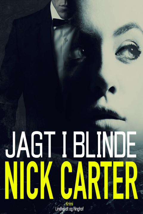 Omslag: Jagt i blinde