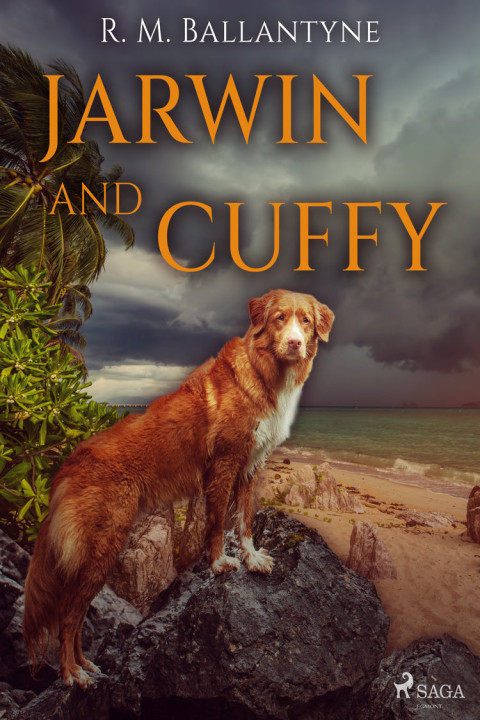 Omslag: Jarwin and Cuffy