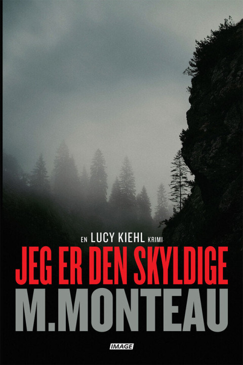 Omslag: Jeg er den skyldige