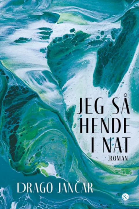Omslag: Jeg så hende i nat