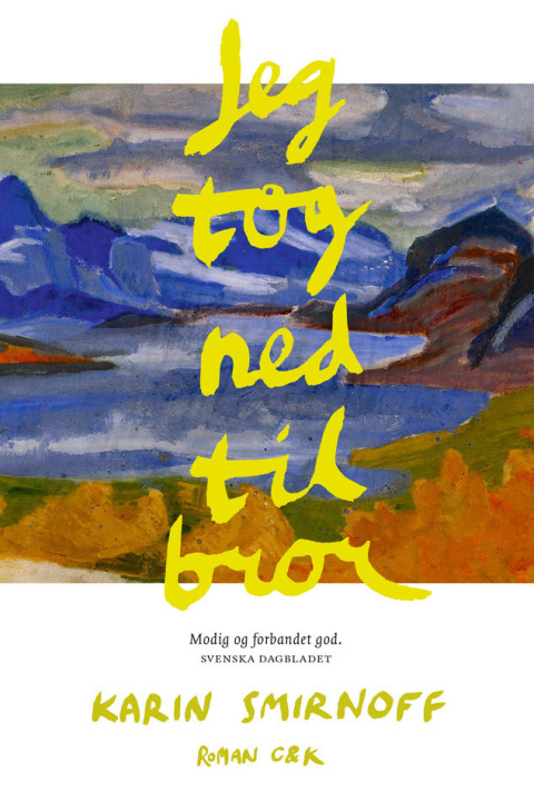Omslag: Jeg tog ned til bror