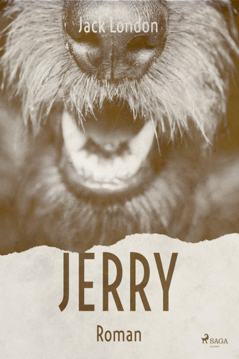 Omslag: Jerry