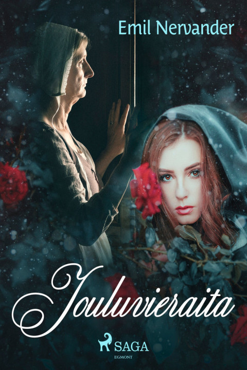 Omslag: Jouluvieraita