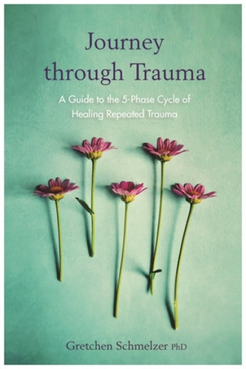 Omslag: Journey Through Trauma