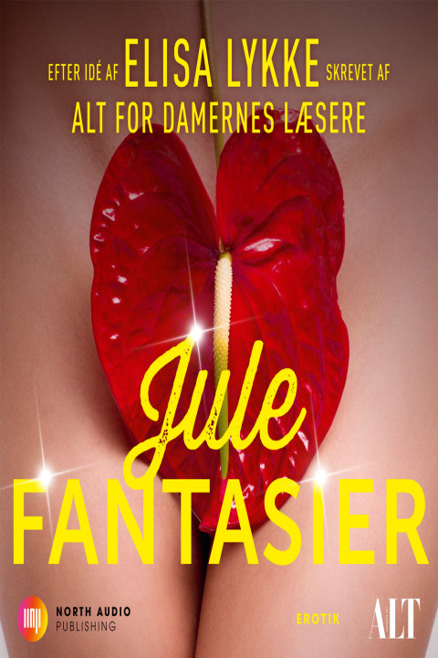Omslag: Julefantasier