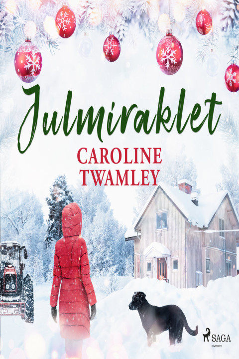 Omslag: Julmiraklet