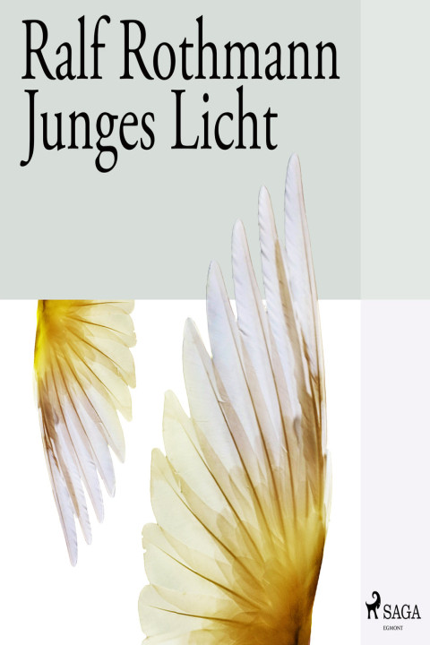 Omslag: Junges Licht