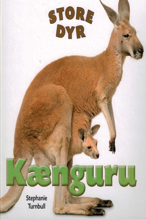 Omslag: Kænguru