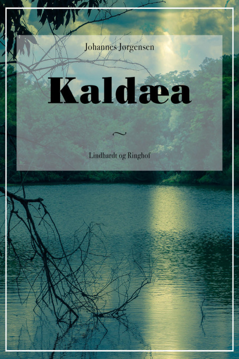 Omslag: Kaldæa