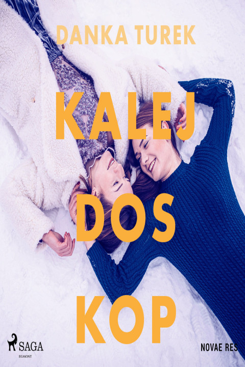 Omslag: Kalejdoskop