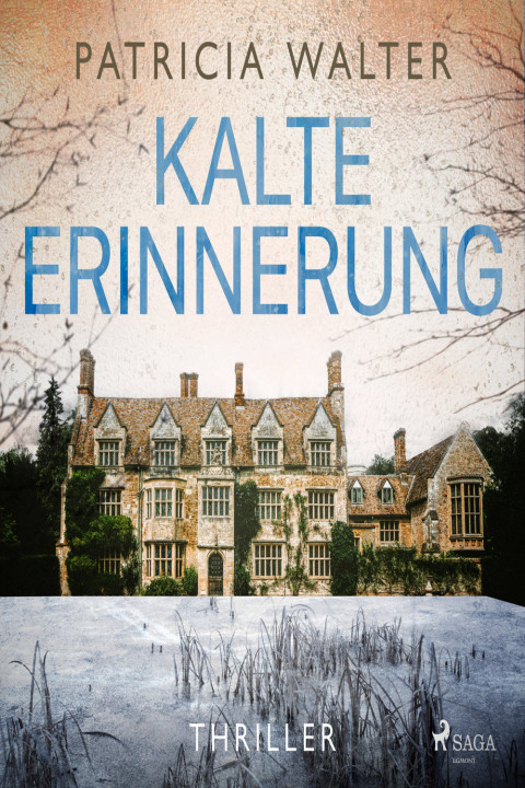 Omslag: Kalte Erinnerung