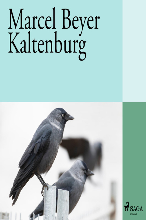 Omslag: Kaltenburg