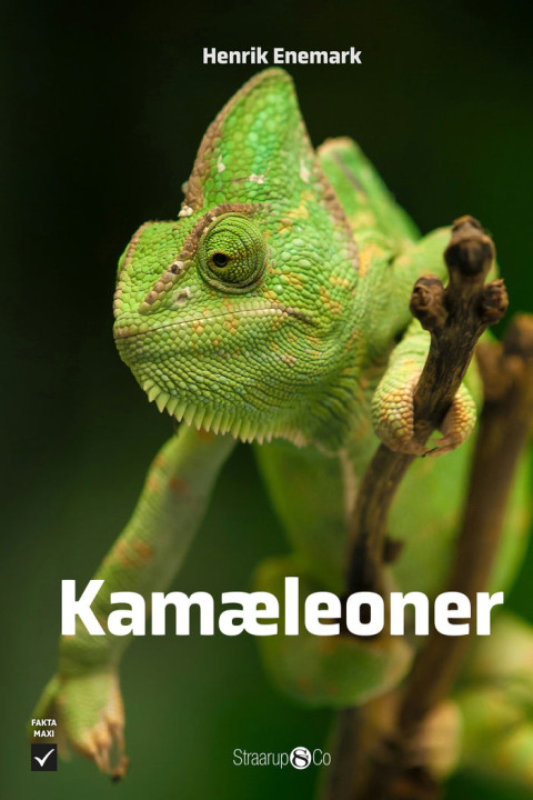 Omslag: Kamæleoner